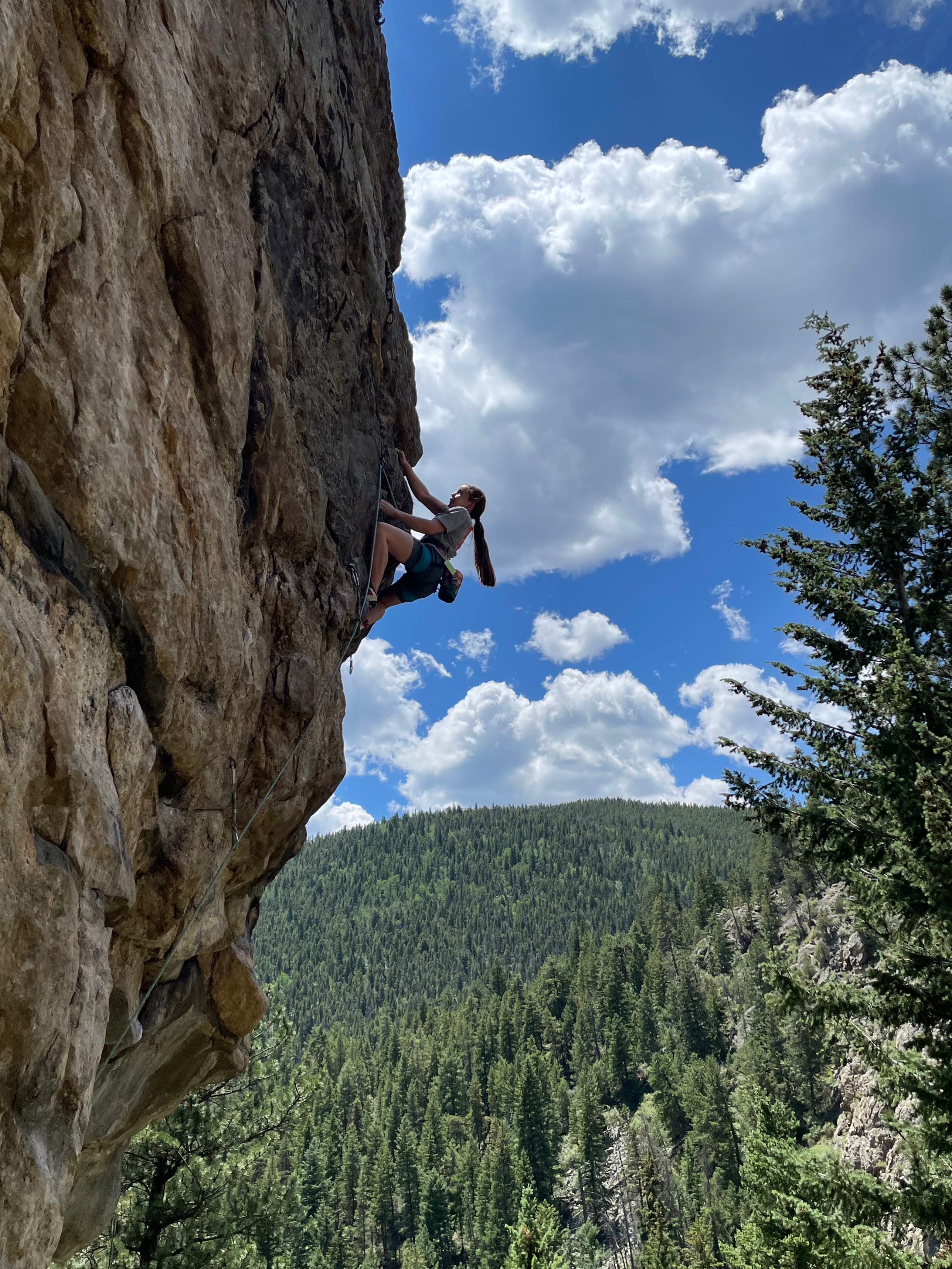 Person climbing a rocky cliff with a scenic background of trees and blue sky.